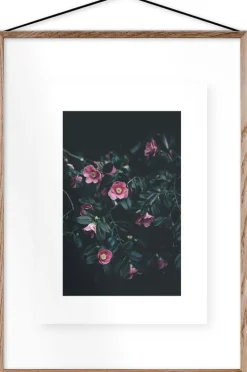 Affiche Flowers encadrée Moebe chêne A2 - Le Renard