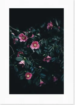 Affiche Flowers encadrée Moebe noir A3 - Le Renard
