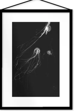 Affiche Medusa II encadrée Moebe noir A3 - Le Renard