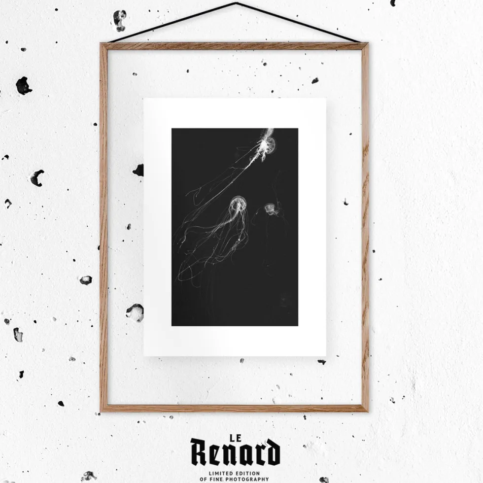 Affiche Medusa II encadrée Moebe noir A2 - Le Renard