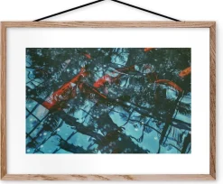 Affiche Tropical Fishes encadrée Moebe chêne A3 - Le Renard