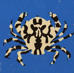 Affiche 70x70cm Calico Crab - The Poster Club