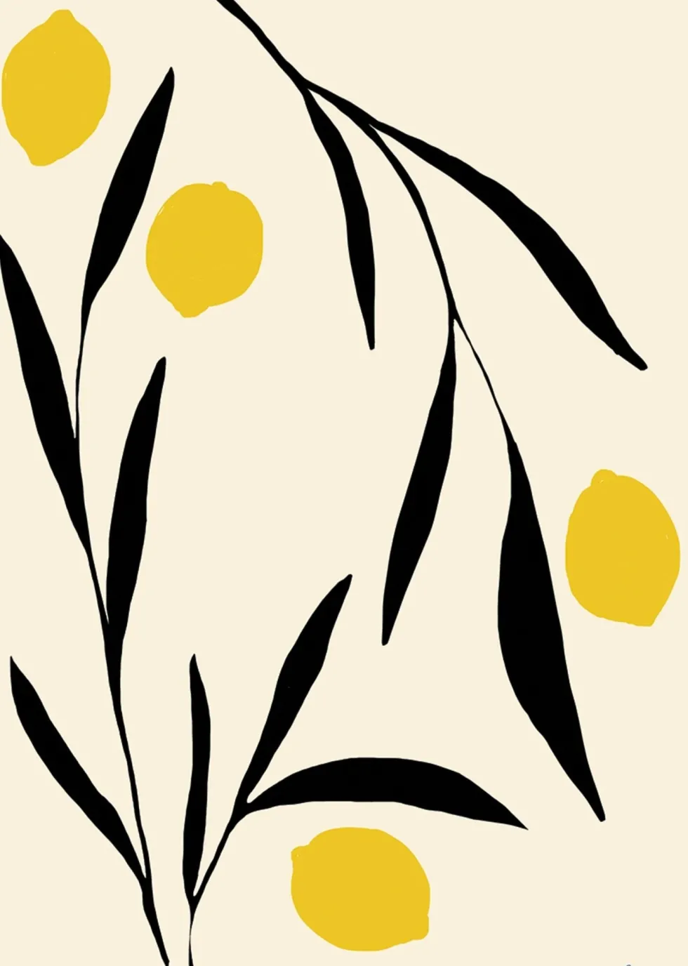 Affiche 50 x 70 cm LEMON - The Poster Club