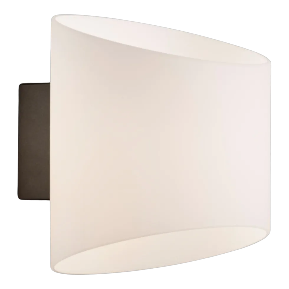 Applique murale ovale de salle de bain en métal anthracite et verre opale 16x18x18cm Evoke - Herstal