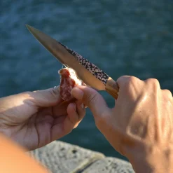 Couteau d'office en bois d'ébéne et inox Z40 23 cm Needle - Atelier Miguel