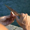 Couteau d'office en chêne et inox Z40 23 cm Needle - Atelier Miguel