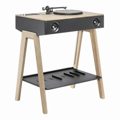 Enceinte en chêne LX Platine - La Boite concept