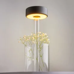 Lampe de table portable en aluminium noir et vase en verre 12x34,8cm AI Collaboration - Maytoni