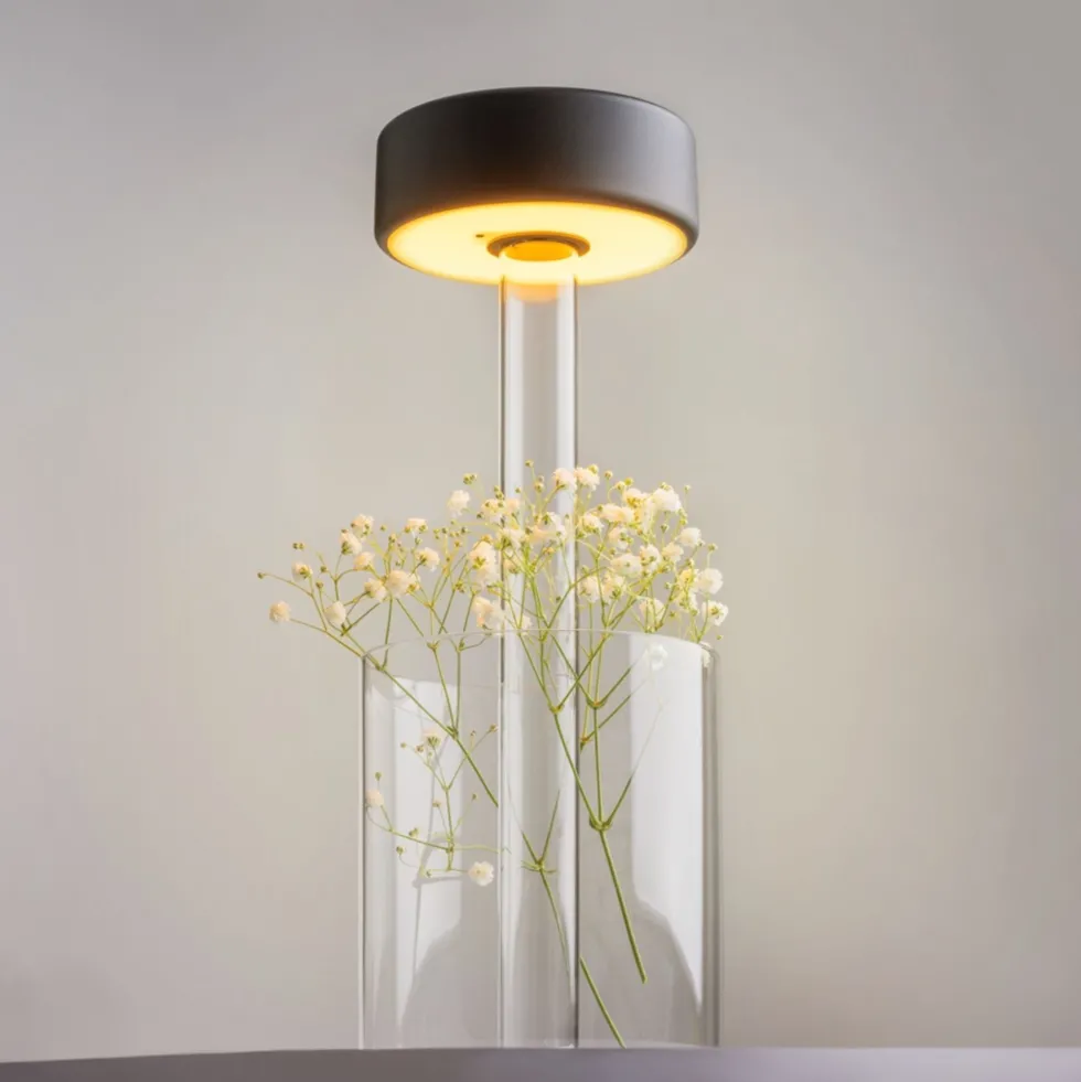 Lampe de table portable en aluminium noir et vase en verre 12x34,8cm AI Collaboration - Maytoni