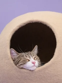 Lit pour chat en laine beige 38cm Levi - Myfelt