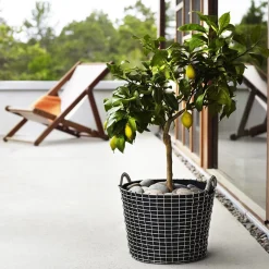 Panier en acier inoxydable 24 L Classic - KORBO