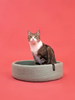 Panier rond pour chat en laine turquoise et bleu royal 40cm Fine - Myfelt