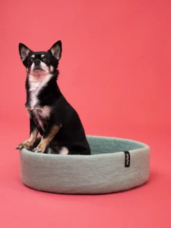 Panier rond pour chien en laine bleu et turquoise 40cm Fine - Myfelt