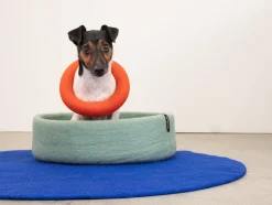 Panier rond pour chien en laine orange et turquoise 40cm Fine - Myfelt