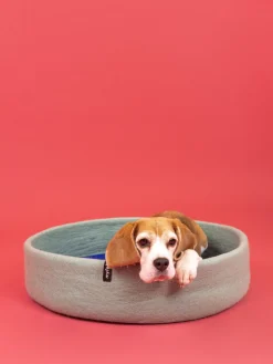 Panier rond pour chien en laine turquoise et bleu royal 60cm Fine - Myfelt