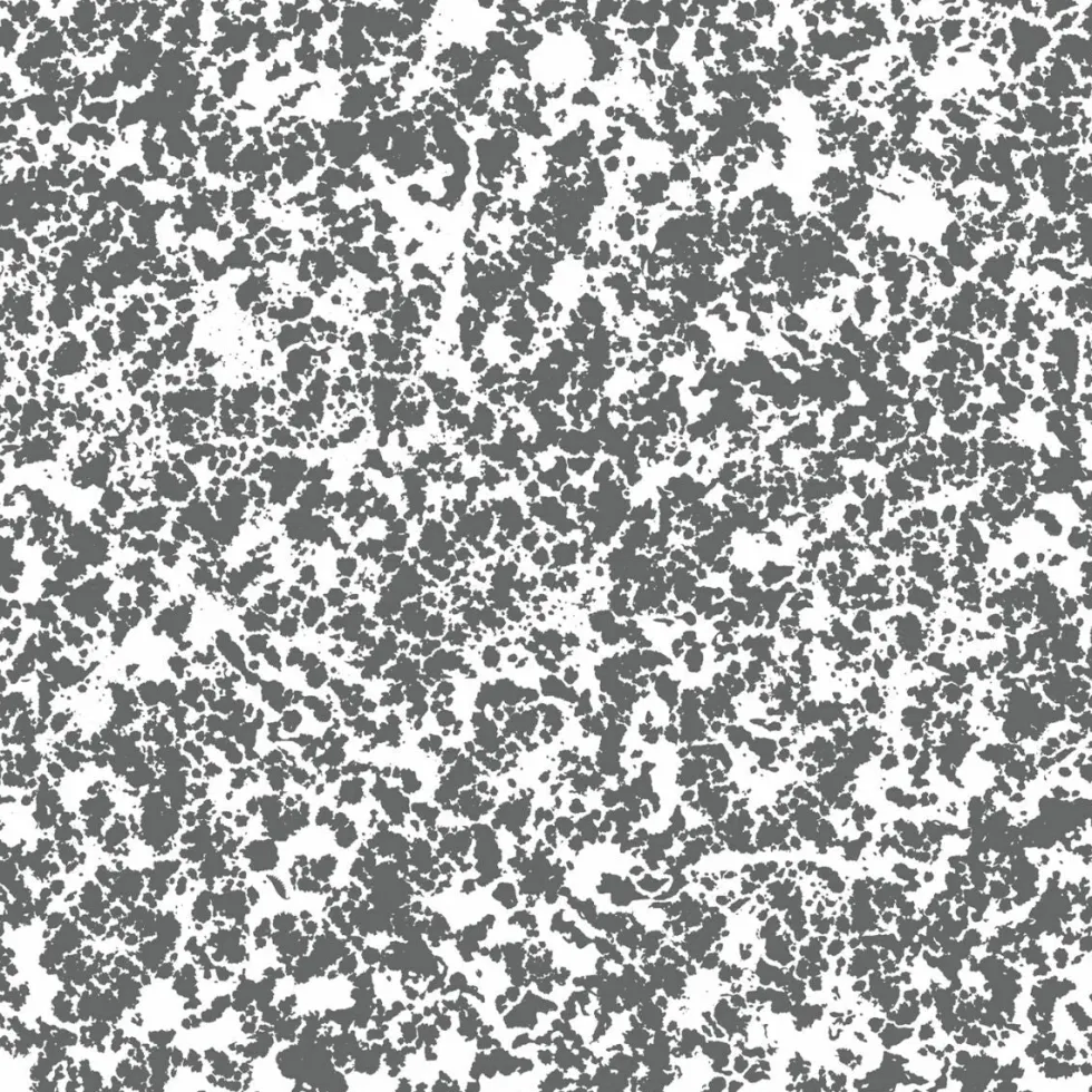 Papier peint noir et blanc Beaux Arts Raccordable - Edito