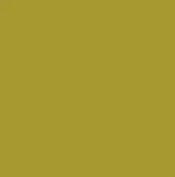 Peinture végétale velouté Amazonie 100ML - Pure & Paint