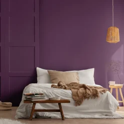 Peinture végétale velouté Aubergine 2,5L - Pure & Paint
