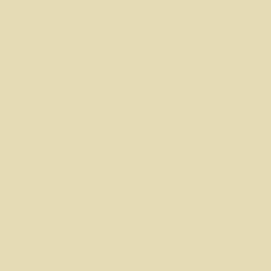Peinture végétale velouté Dune 2,5L - Pure & Paint