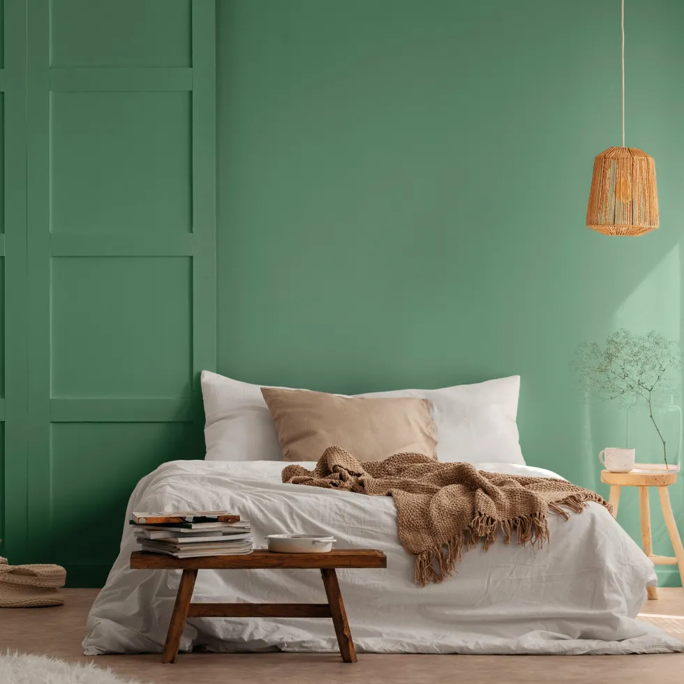 Peinture végétale velouté Forêt 0,5L - Pure & Paint