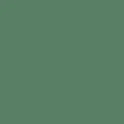 Peinture végétale velouté Forêt 0,5L - Pure & Paint