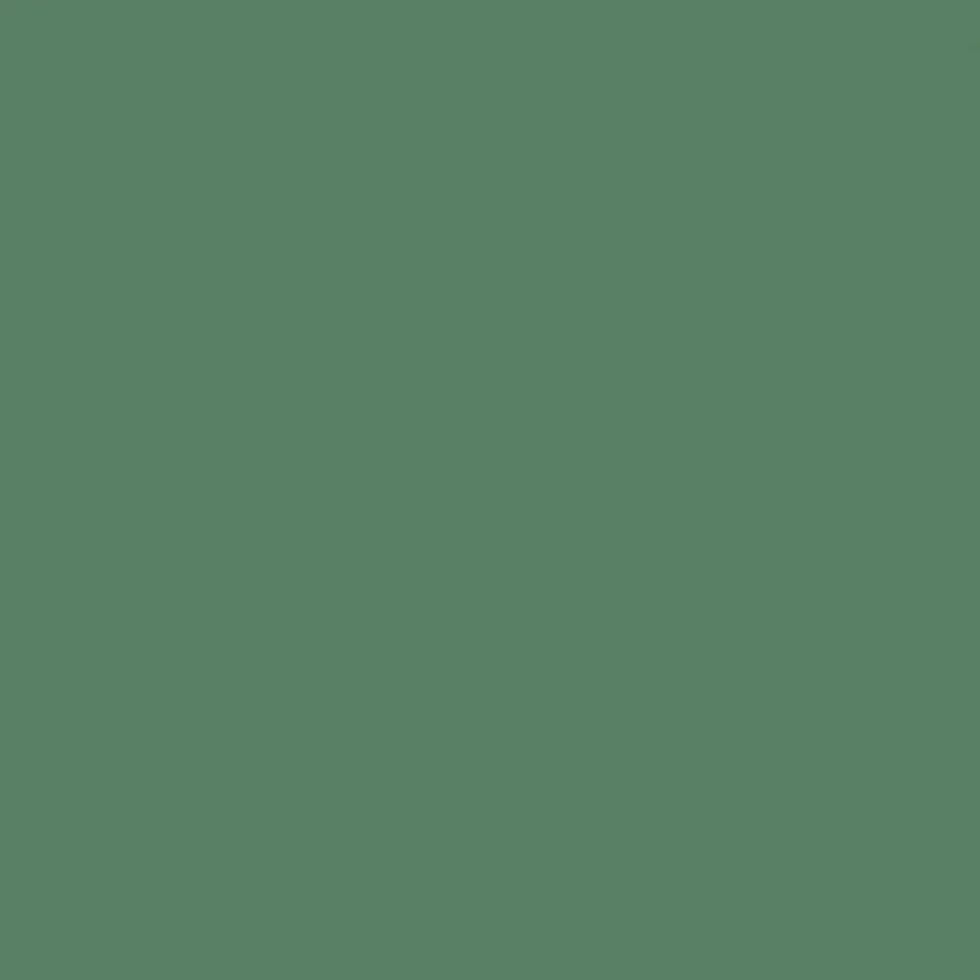 Peinture végétale velouté Forêt 0,5L - Pure & Paint