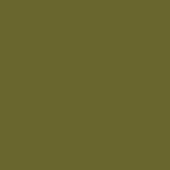 Peinture végétale velouté Goémon 0,5L - Pure & Paint