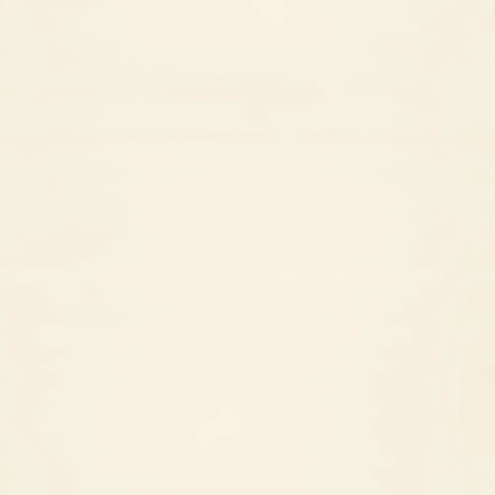 Peinture végétale velouté Parchemin 2,5L - Pure & Paint