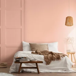 Peinture végétale velouté Roséus 2,5L - Pure & Paint
