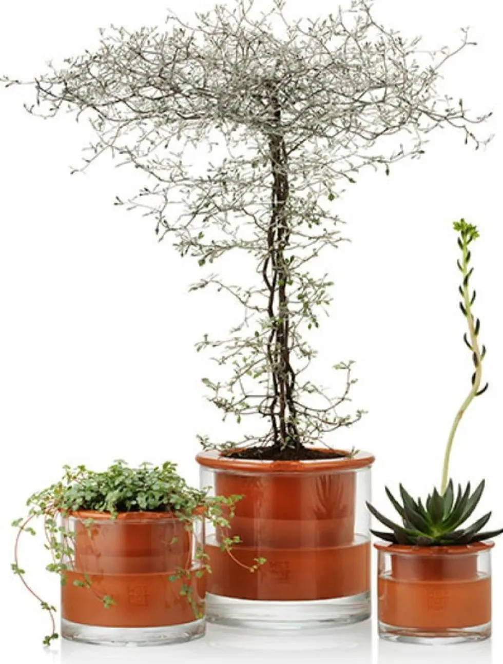 Pot avec réservoir d'eau L - Wet Pot