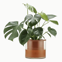 Pot avec réservoir d'eau L - Wet Pot