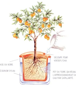 Pot avec réservoir d'eau M - Wet Pot