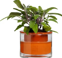 Pot avec réservoir d'eau XS - Wet Pot