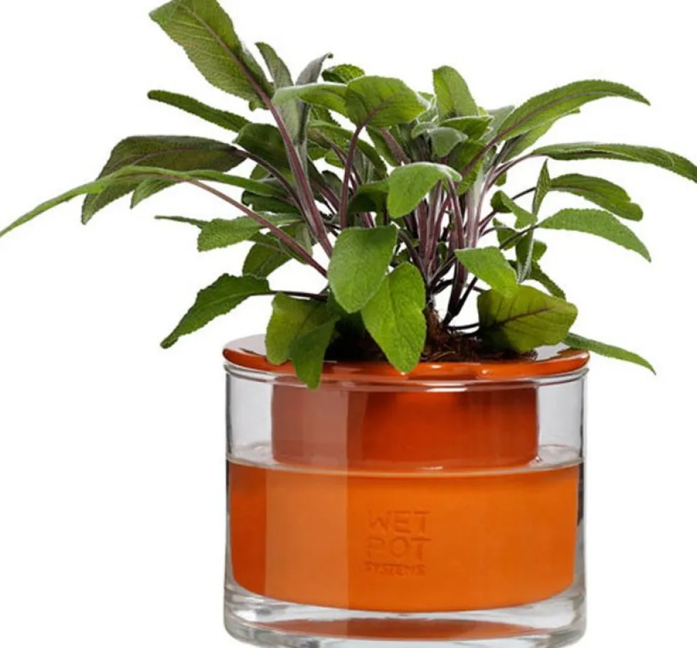 Pot avec réservoir d'eau XS - Wet Pot