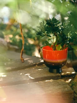 Pot de fleurs rétro Cherry Red - HKLIVING