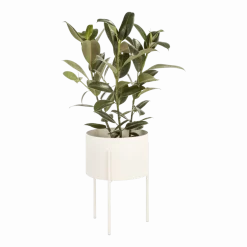 Pot à plantes en acier beige L Maki - noo.ma