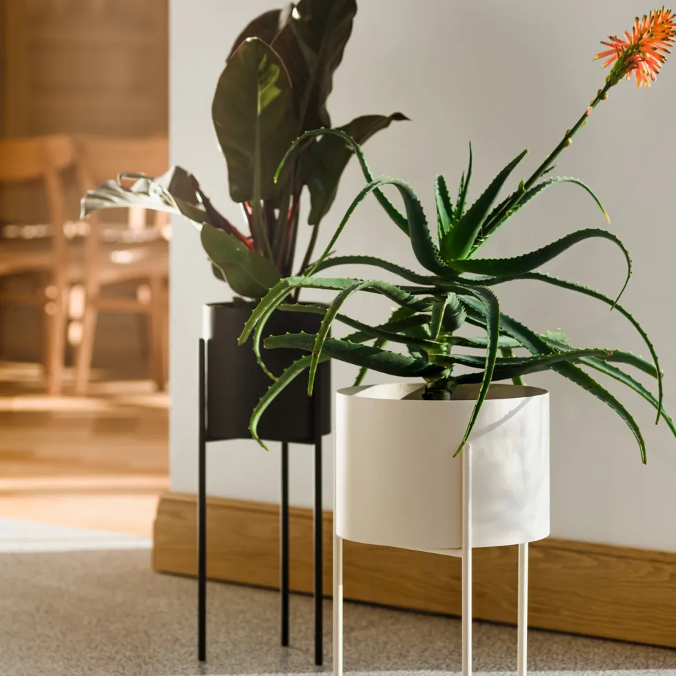 Pot à plantes en acier beige L Maki - noo.ma