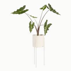 Pot à plantes en acier beige Maki - noo.ma