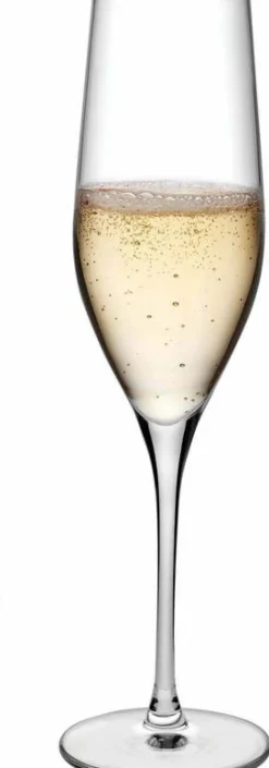 Set de 2 verres à Champagne 245 cc Vinifera - Nude Glass