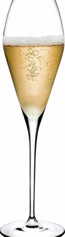 Set de 2 verres à champagne Fantasy - Nude Glass