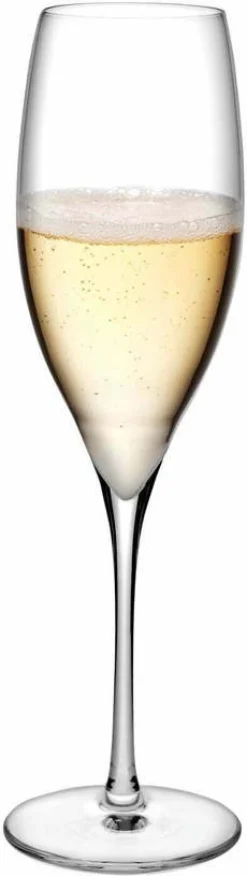 Set de 2 verres à champagne Terroir - Nude Glass