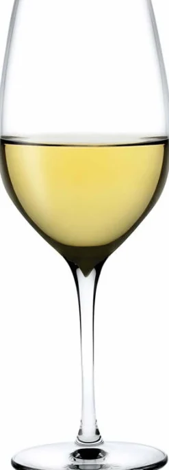 Set de 2 verres polyvalents Terroir - Nude Glass