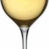 Set de 2 verres à vin blanc Terroir - Nude Glass