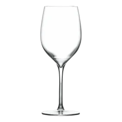Set de 2 verres à vin blanc Terroir - Nude Glass