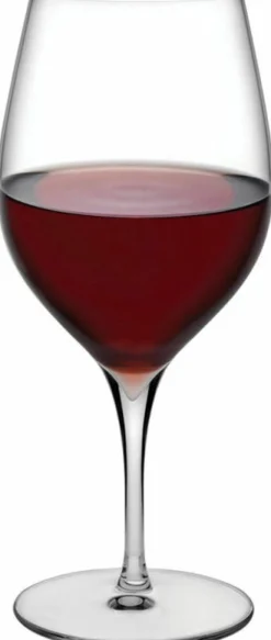 Set de 2 verres à vin rouge 670 cc Terroir - Nude Glass