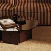 Table basse en chêne teinté foncé et plateau en verre 32x90cm Aukko - Ferm living