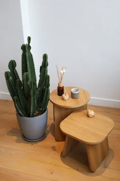 Table d'appoint carrée en bois de chêne huilé 40x40x35cm Momoko - EMKO