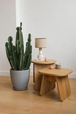 Table d'appoint carrée en bois de chêne huilé 40x40x35cm Momoko - EMKO