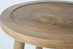 Table d'appoint ronde en bois de manguier 60x40cm Dendron - Zuiver