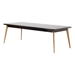 Table rectangulaire en acier brun noir et pieds bois 240x100cm 55 - Tolix